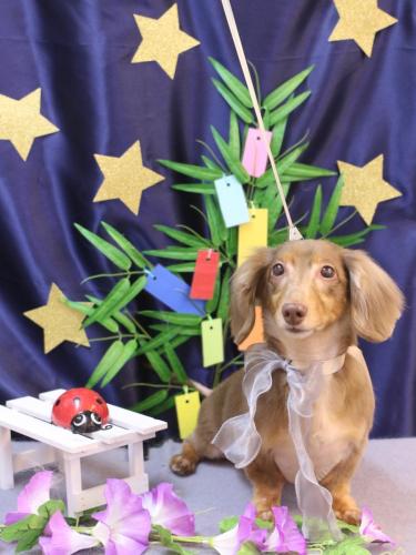 20230712サニーくん